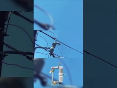 فيوز عالية الجودة مقطوعة 40.5 kv بوليمر أو سيراميكي خفض فيوز مقطوعة